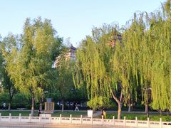 -莲花池公园