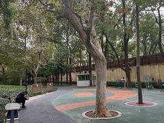 -徐家汇源景区-衡山公园