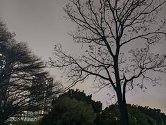 -晓港公园