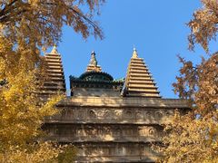 -北京石刻艺术博物馆(五塔寺)