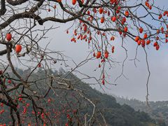 -楠溪江风景名胜区