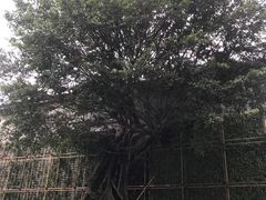 -西昌邛海宾馆