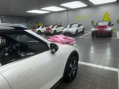 -上海浦东smart汽车全功能店(金桥店)