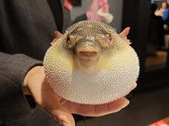 -永安鱼庄·镇江菜(东吴路店)