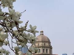 -俏江南天津时尚曲艺主题餐厅(马场道店)