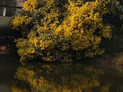 -琅岐红光湖公园