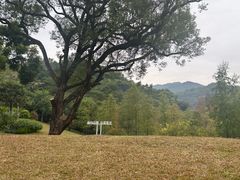 -云溪植物园