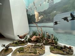 -杭州西湖博物馆总馆