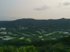 -大屏嶂森林公园
