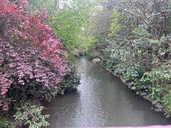 -狼山风景名胜区