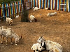 -西部长青自然儿童乐园