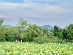 -烟水渔庄餐厅(西溪湿地店)