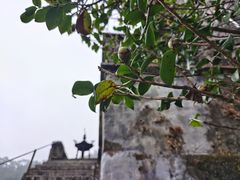 -飞霞风景名胜区