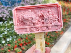 -北陵公园