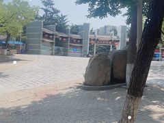 -南山公园