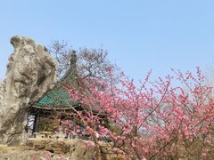 -无锡梅园公园