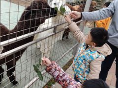 -迪茵湖田家舍生态农场