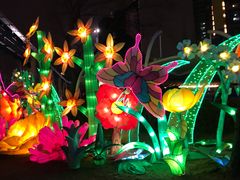 -锦江乐园舞狸花花游园会(夜场专享)