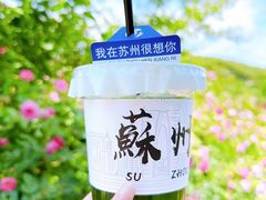 -苏州上方山国家森林公园