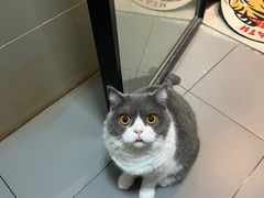 -五洞大众牛餐馆(番禺分店)