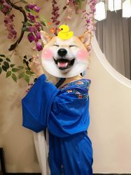 -盘子女人坊古装写真摄影(天津总店)