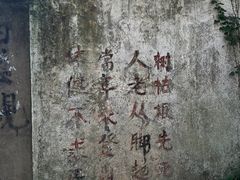 -惠山国家森林公园