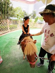 -萌宠亲子动物乐园(槐房万达店)