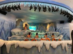 -帝企鹅自助餐厅•儿童岛•真企鹅(长隆企鹅酒店)