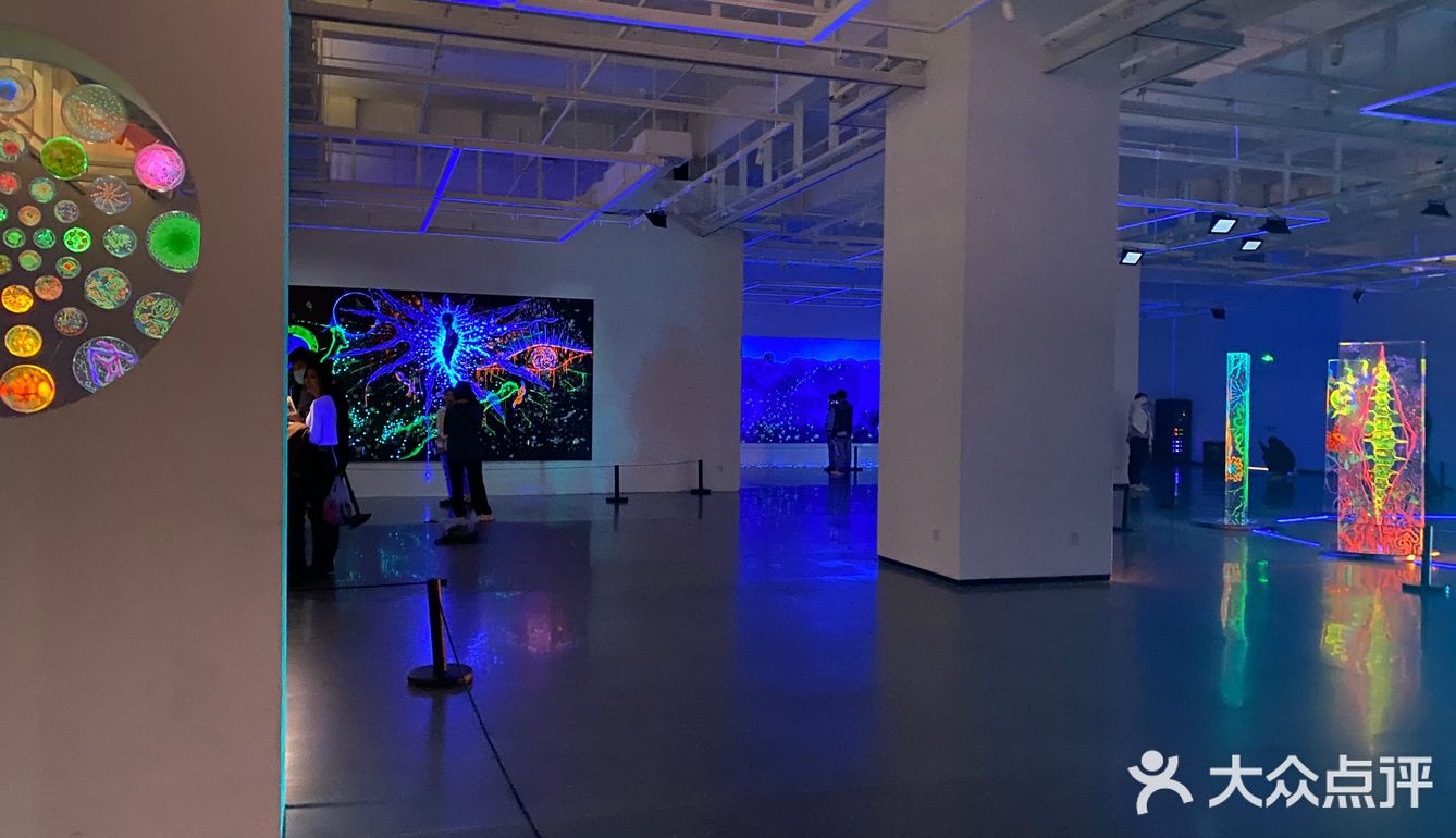 阿雅个展！白夜神话！西安美术馆五一太给力啦！