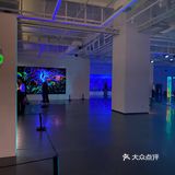 阿雅个展！白夜神话！西安美术馆五一太给力啦！