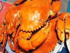 -尼甘布海鲜市场