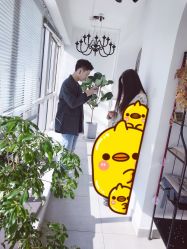 -净漪造型 PURE RIPPLE