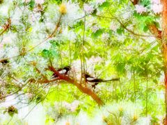 -永定河休闲森林公园