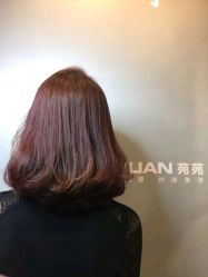 点击看大图 -苑苑发型设计