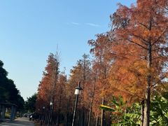 -福州中庚聚龍酒店香汇自助餐厅(南江滨西大道店)