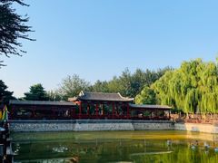 -尚庄度假村·庭台树下·户外烧烤·团建CS·轰趴营地(上庄水库店)