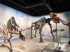 -辽宁古生物博物馆