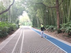 -苏州河梦清园环保主题公园