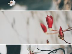 -三里河公园