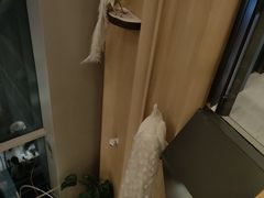 -港汇恒隆广场