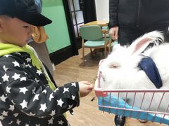 -猫色咖啡·猫咖