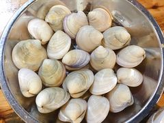 蛤蜊-盈田盈粥庄(博山东路店)