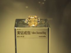 -中国地质博物馆