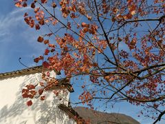 -塔川景区
