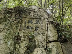 -普陀山雷迪森庄园