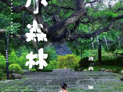 -火炉山森林公园