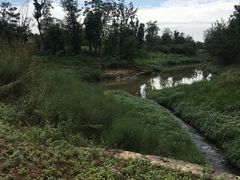 -白鹭湾湿地公园