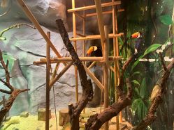 -Zoolung Zoolung动物主题公园(海信广场店)