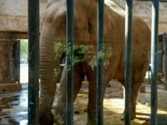 -石家庄市动物园