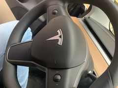 -TESLA 特斯拉(郑州正弘城体验店)